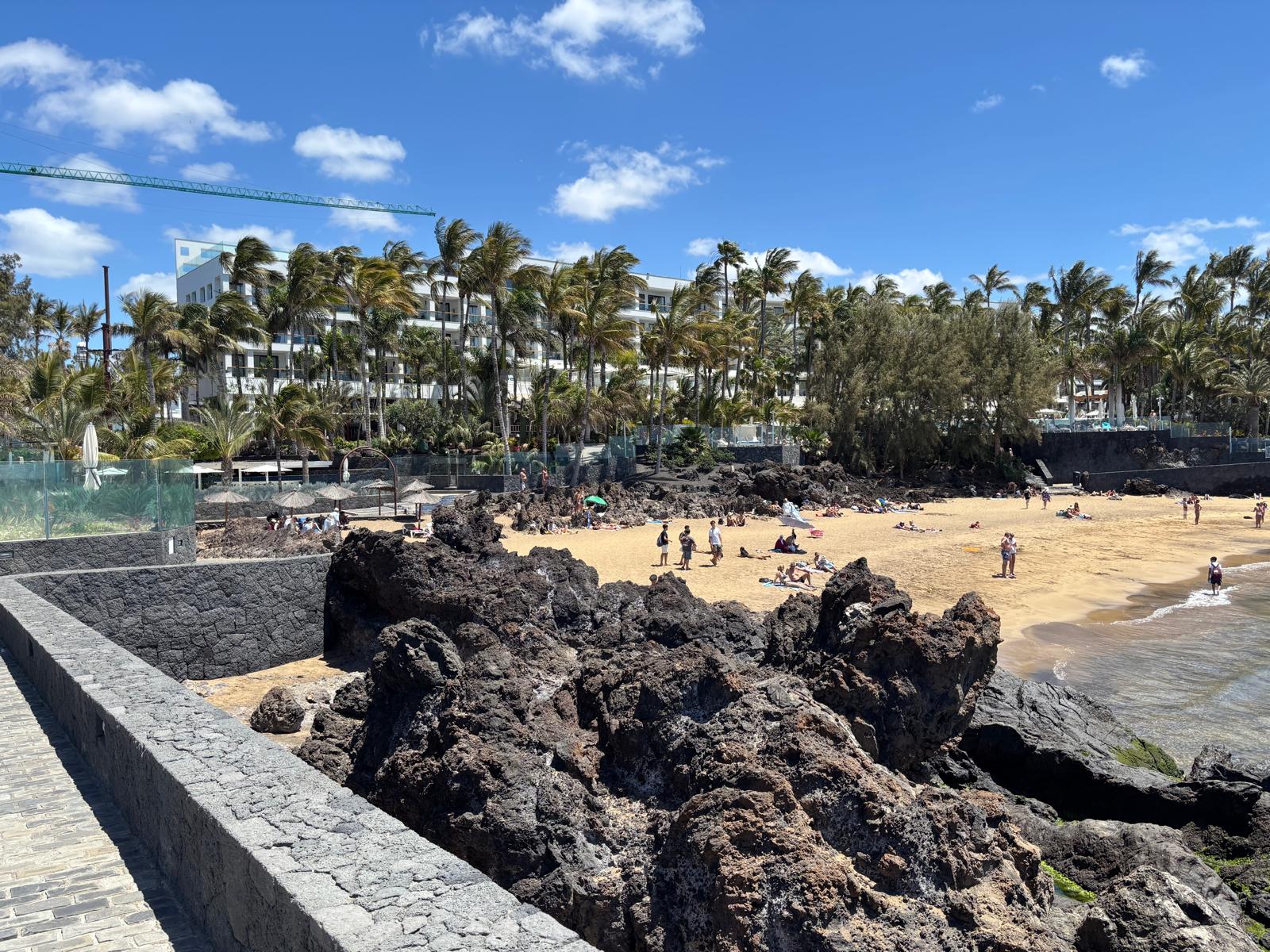 Playa con palmeras junto a los hoteles